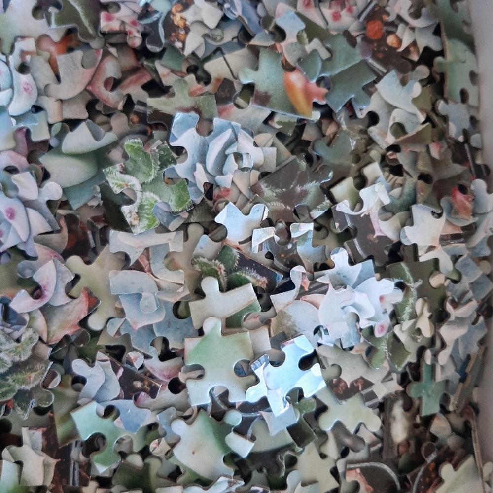 Galison Succulent Garden 500 Piece Double Sided Puzzle - Picture 3 of 4